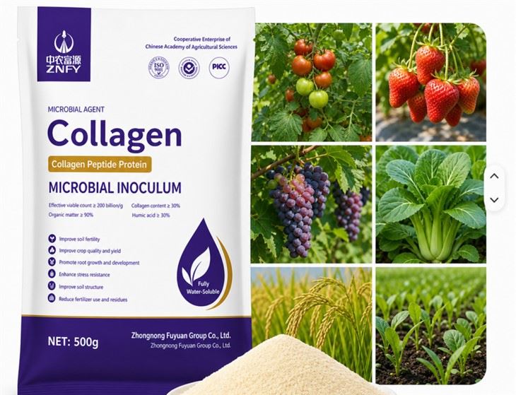 Amino Acid Plant Growth Regulator best