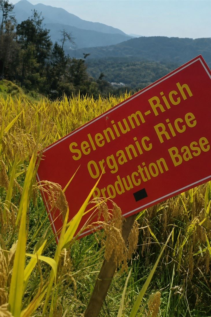 Bio Organic Foliar Fertilizer high quality