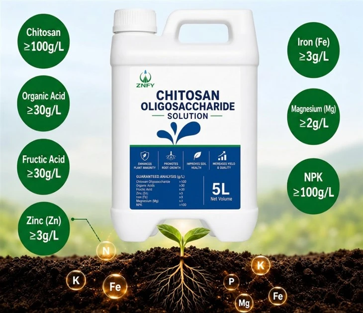 Chitosan Oligosaccharide Biostimulant suppliers