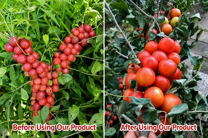 Fruit Ripening Agent suppliers