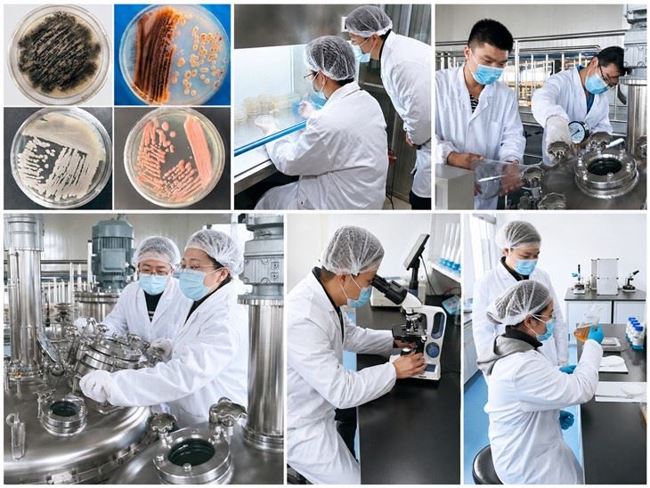 Fungus Gnat Natural Pesticide high quality