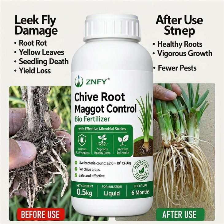 Fungus Gnat Natural Pesticide best