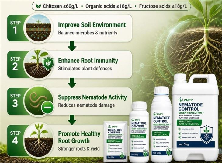 Gray Mold Fungicide factory