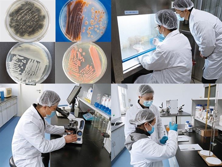 Potato Specific Fertilizer-Laboratory