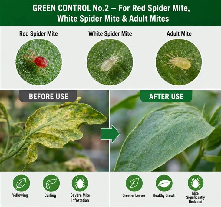Spider Mite Control Liquid factory